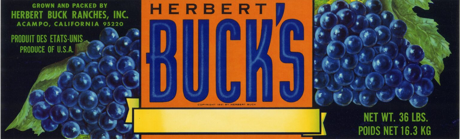 Herbert Buck s Herbert Buck s